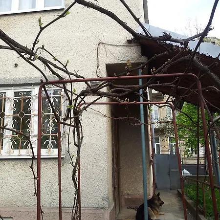 House Hostel Lviv