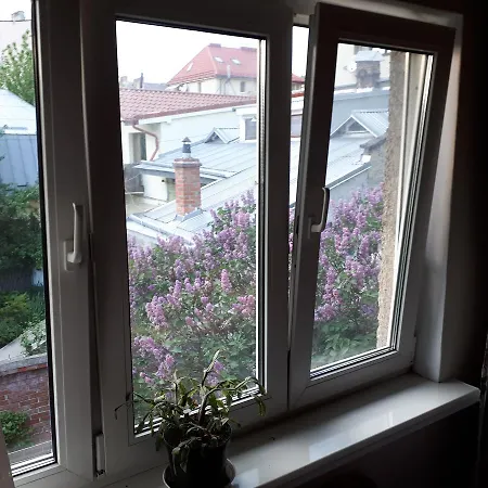 House Hostel Lviv